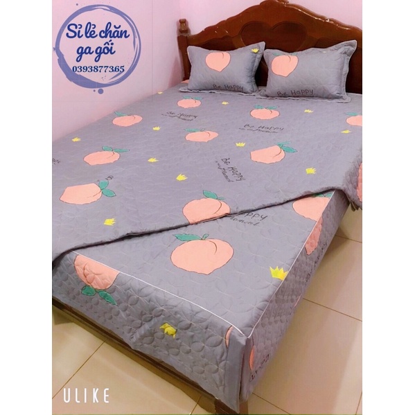 Bộ ga phủ 2m2x2m ( ga + 2 vỏ gối + vỏ ôm )