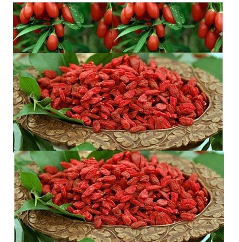 500g Quả Kỷ Tử  sấy khô - có tặng quà