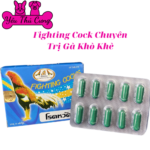Fighting cock trị khò khè cho gà đá-yêu thú cưng