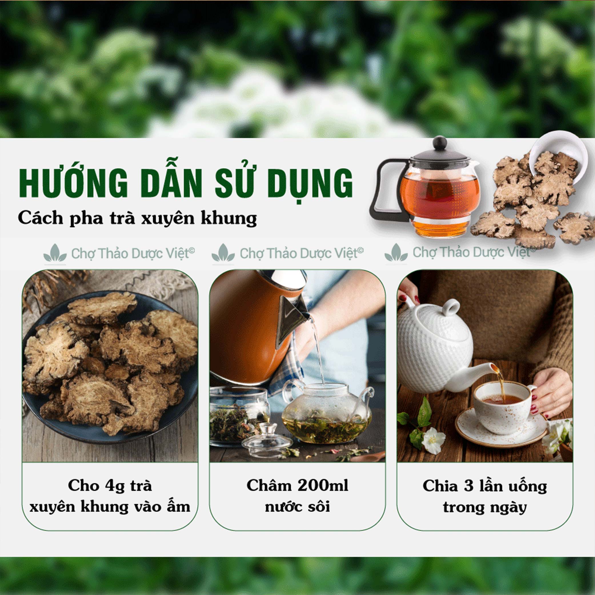Xuyên khung 500g, hàng khô, sạch, thái lát mỏng, không vụn - Chợ Thảo Dược Việt