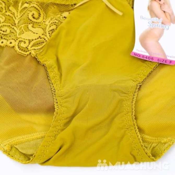 Combo sỉ 10 Quần lót spring ren sườn VNXK 5405