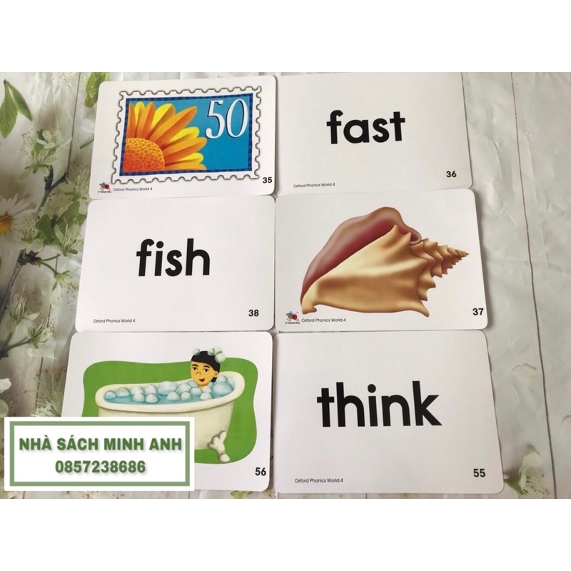 Flashcard OXFORD PHONICS WORLD 4-96 thẻ (khổ A5-cán bóng/ép plastic)