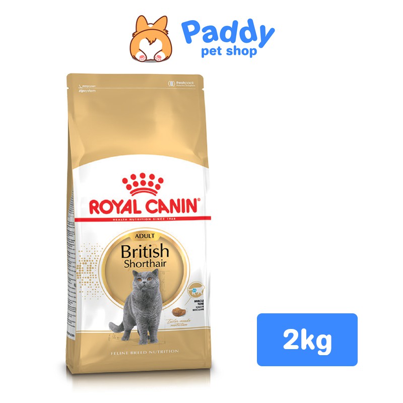 Thức Ăn Hạt Cho Mèo Anh Lông Ngắn Trưởng Thành Royal Canin British Shorthair Adult