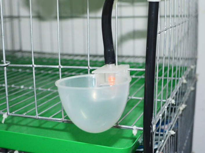 Máng uống tự động cho chim bồ câu, chim cút và gà nhốt lồng