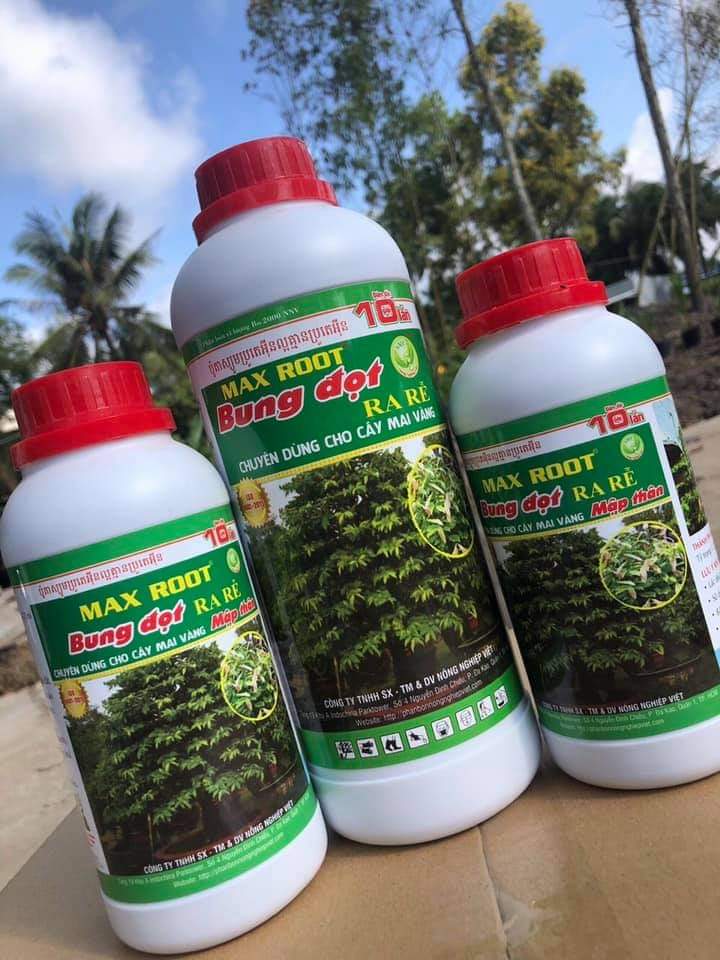 MAX ROOT BUNG ĐỌT RA RỄ MAI VÀNG CHAI 500ML