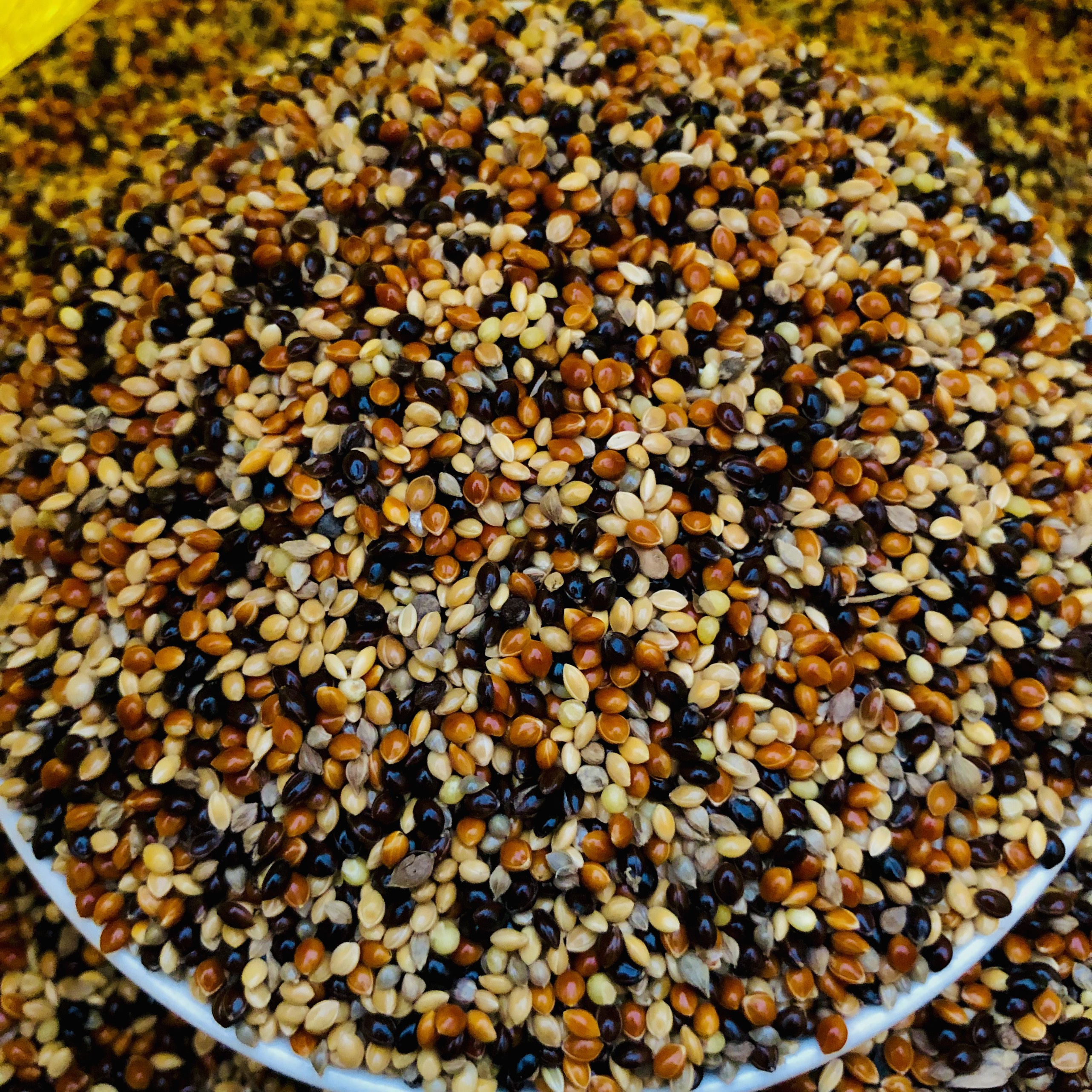 1Kg hạt kê đen, thức ăn chim cu gáy