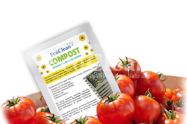 EcoClean COMPOST - Men vi sinh ủ phân nhập khẩu Mỹ - Gói 100g