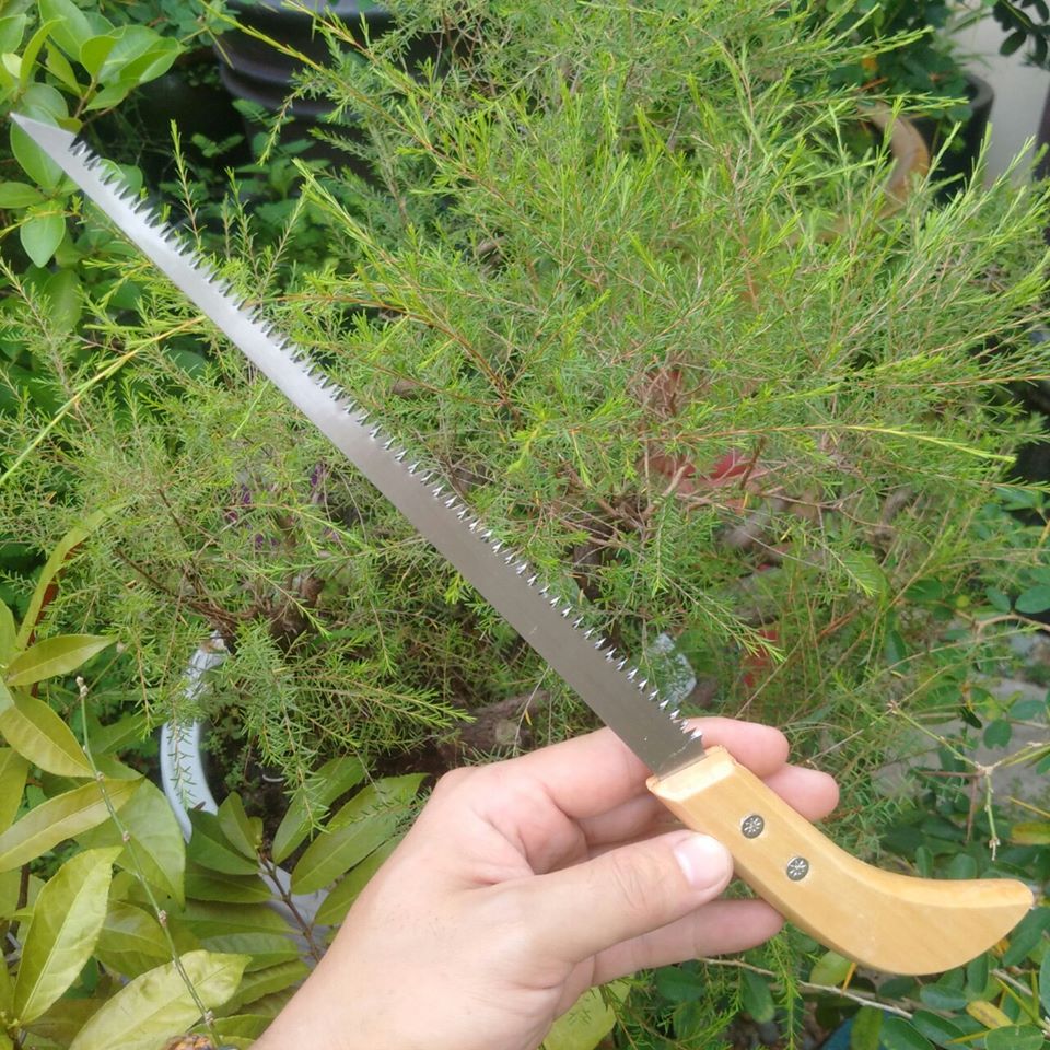 Cưa mini cưa cành trong vị trí hẹp - C99