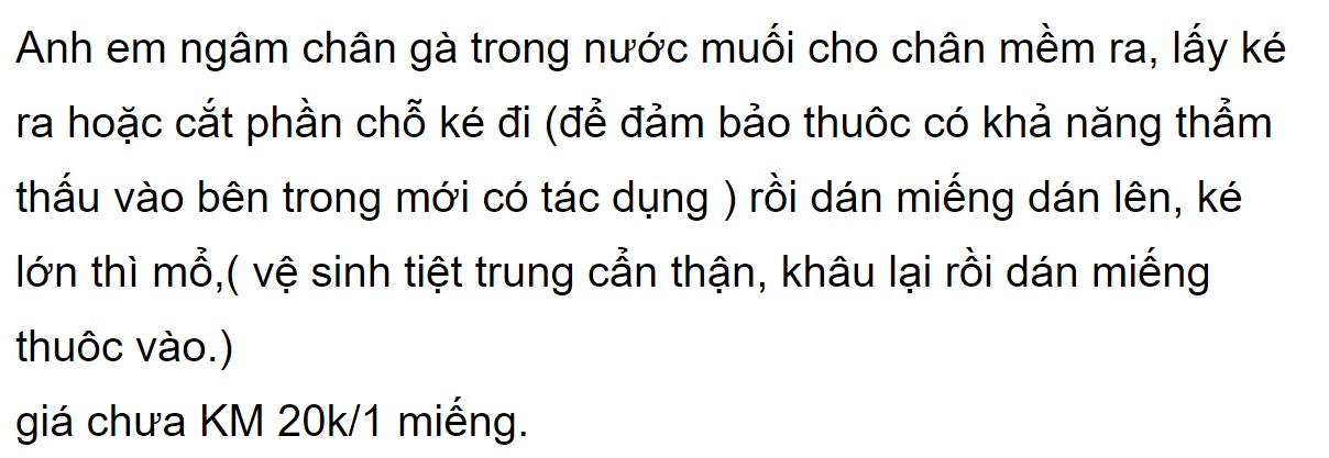 miếng dán ké chậu gà đá 1 miếng [ShopGaVip]