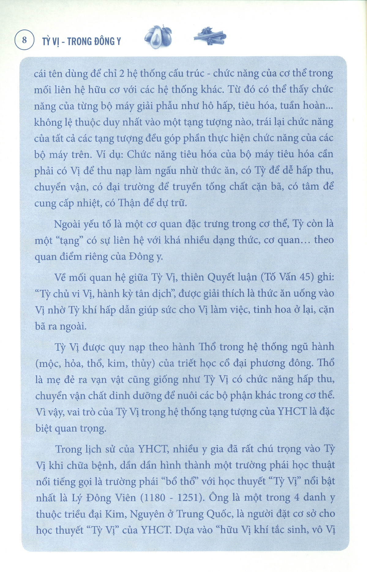 Tỳ Vị Trong Đông Y