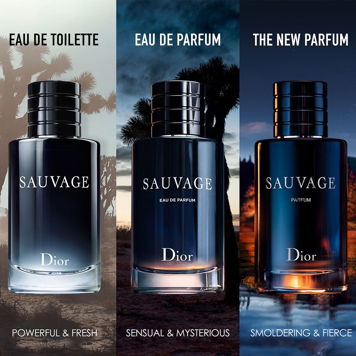 Nước hoa nam SAUVAGE 100ML [ HÀNG XỊN ]