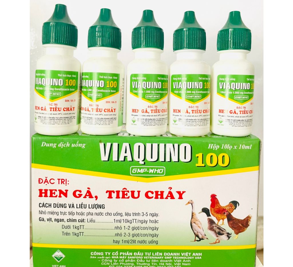 Viaquino(10ml) Hen ga, tiêu chảy phân xanh, phân trắng cho gà