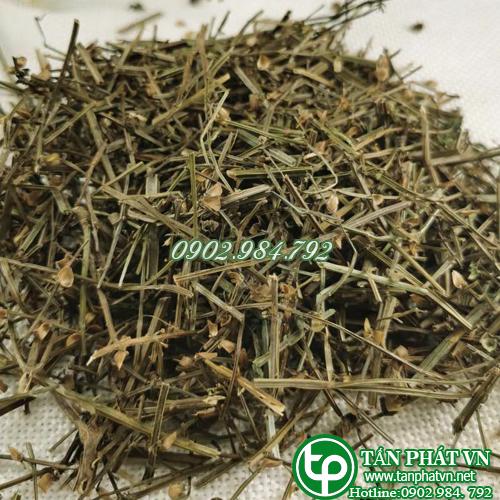 [Hàng mới về] Bán chi liên khô Tấn Phát 500g - Hỗ trợ cải thiện sức khoẻ - Trà ngon bổ dưỡng
