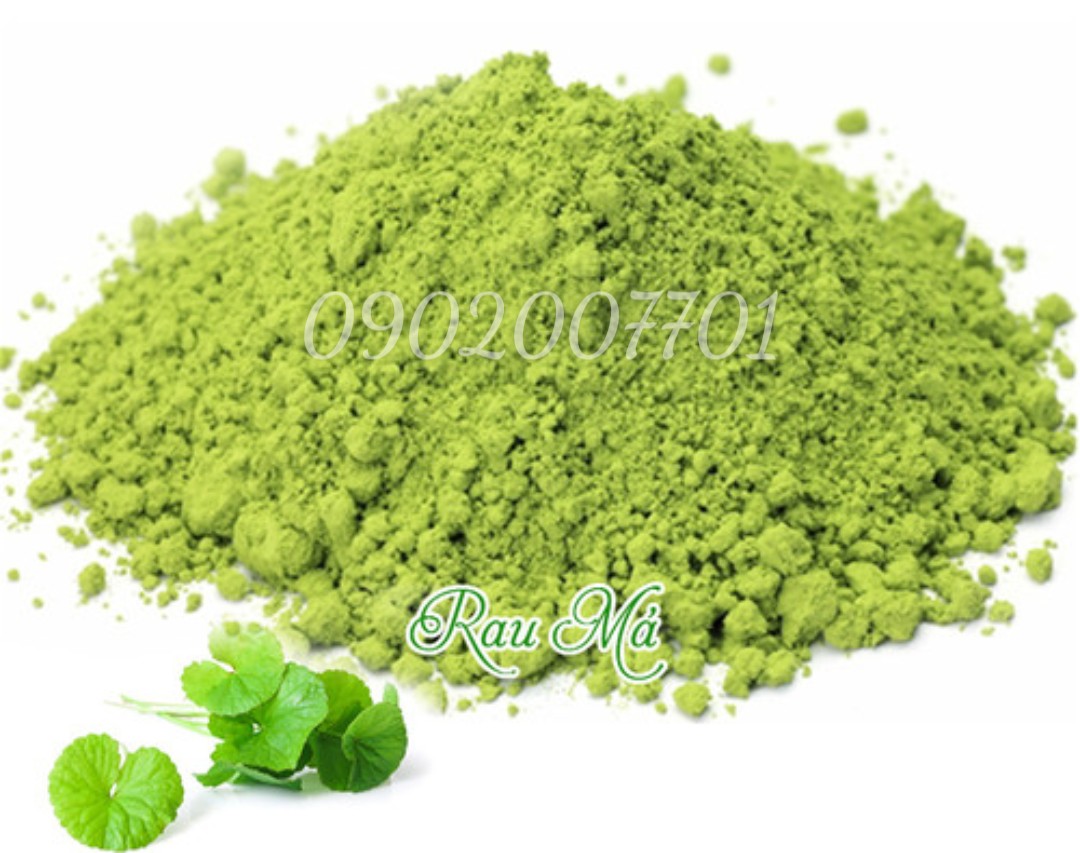 Bột rau má sấy lạnh nguyên chất 100%