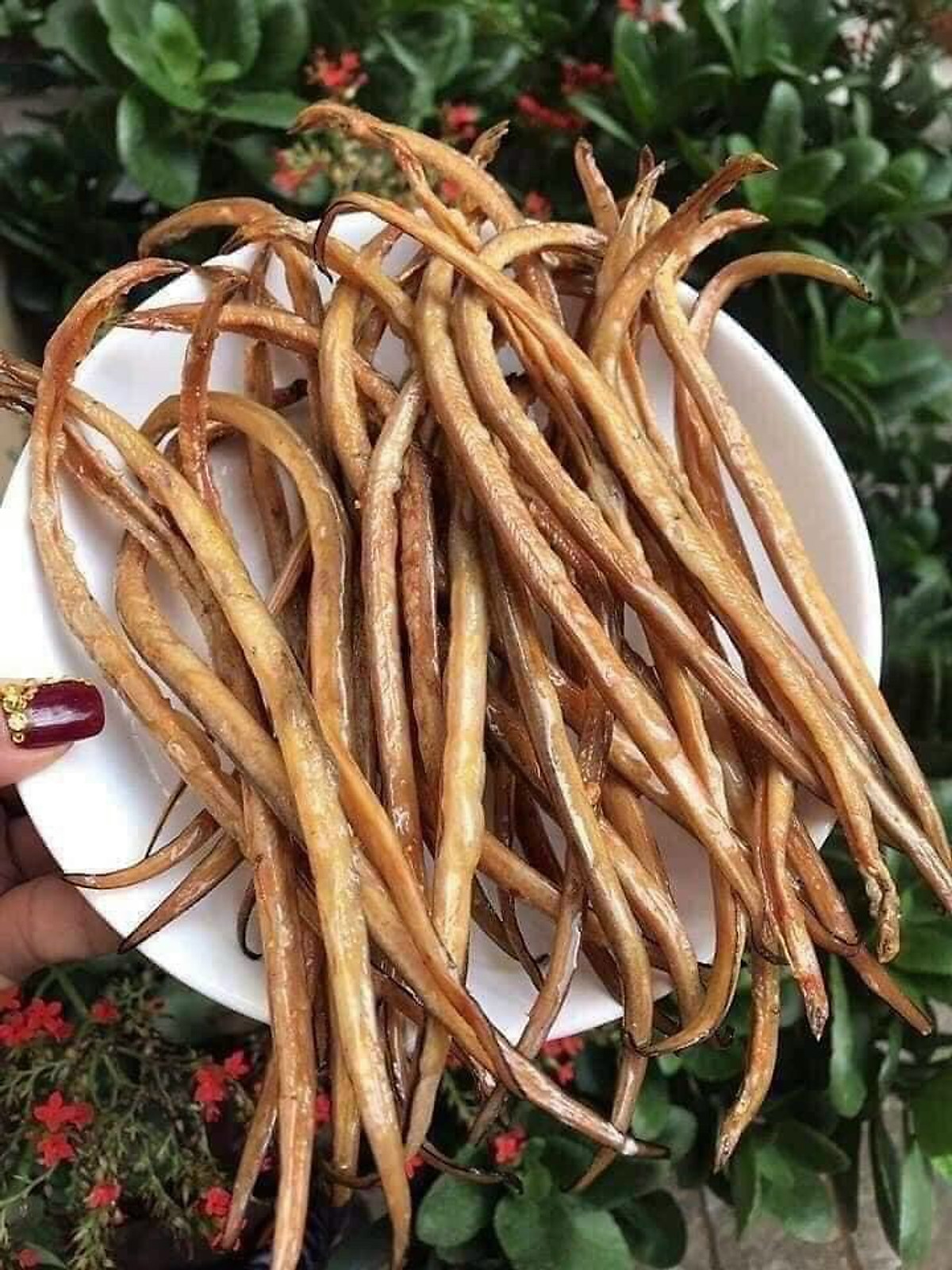 Khô Cá Lãi Trứng - Gói 500G