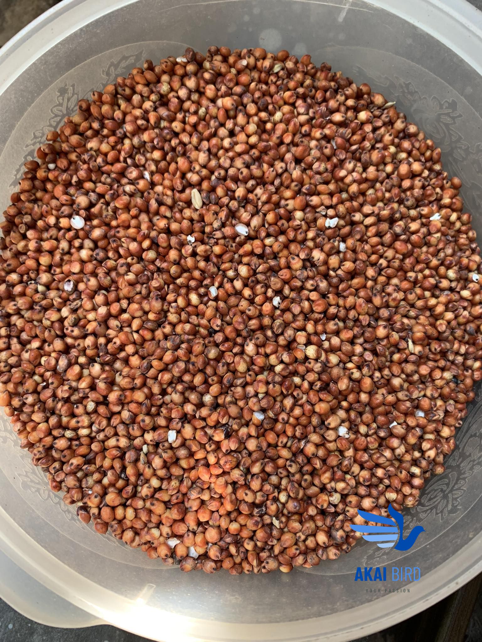 [1KG] Hạt Bo Bo Đỏ / Trắng (Hạt Ý Dĩ / Cườm Thảo) Đa Công Dụng...