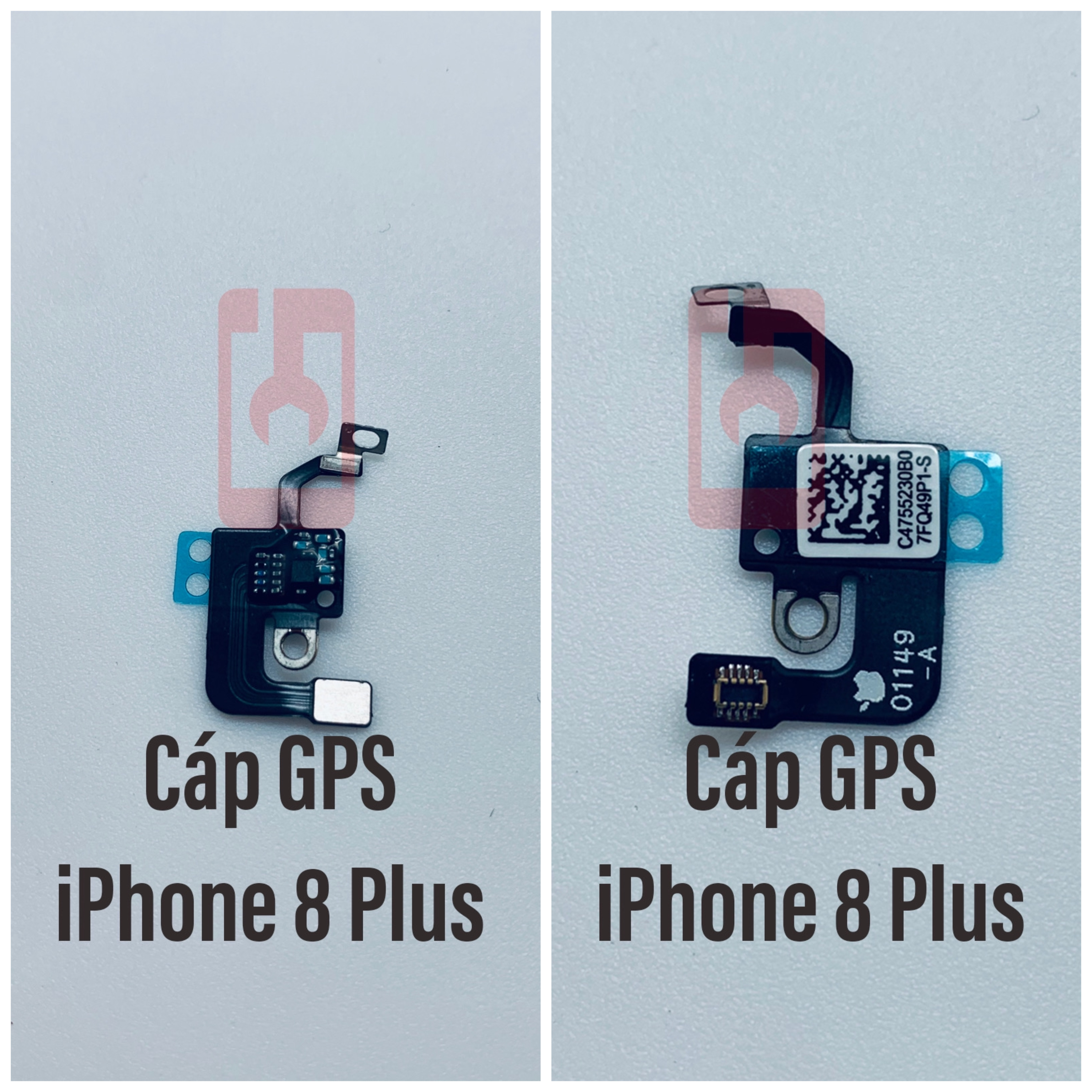 Cáp Wifi Bluetooth IP 8 Plus
