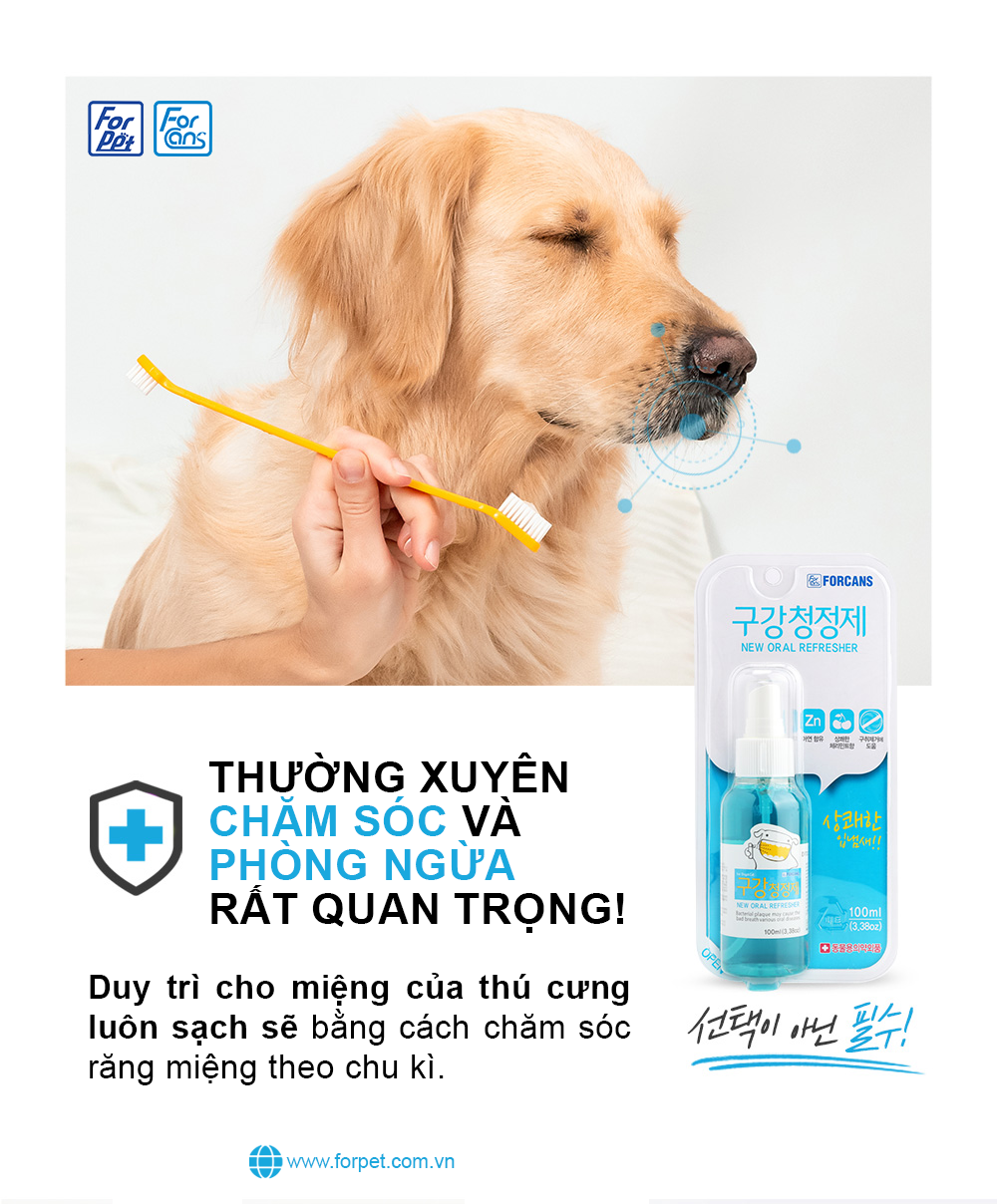 Nước xịt thơm miệng cho thú cưng Forcans 100ml