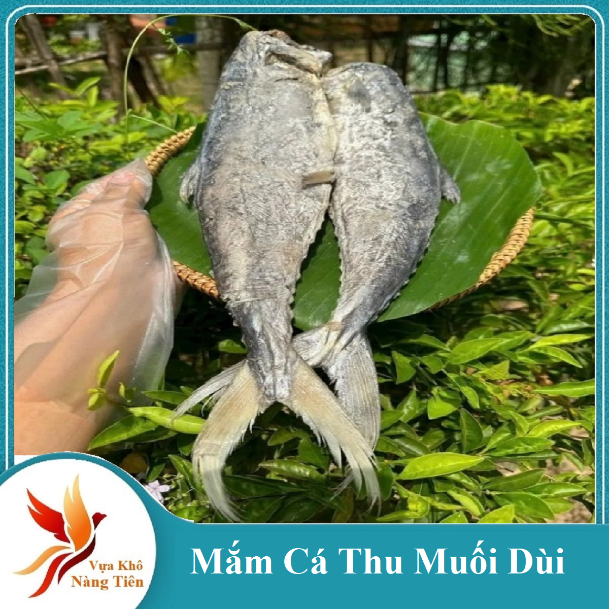 Cá Thu Muối Dùi - Mắm Cá Thu Thơm-thịt mềm không bỡ- nguyên con nhỏ, Vựa Khô Nàng Tiên