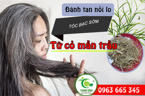 Cỏ Mần Trầu Khô 1KG - Thảo Dược Thanh Bình