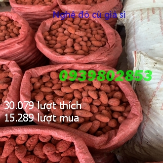 Nghệ đỏ củ cho gà đá 1 ký