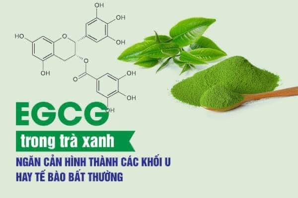 bột trà xanh kelly bùi