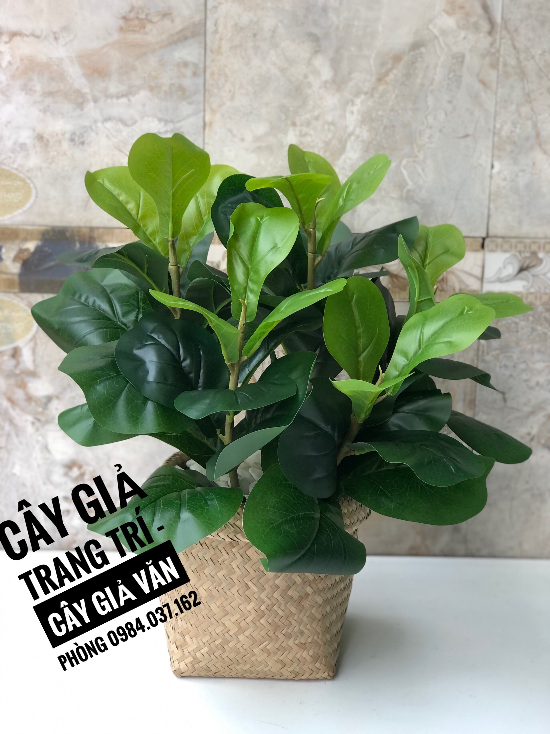 Cây Bàng Singapo Giả Mini Để Bàn- Cây Giả