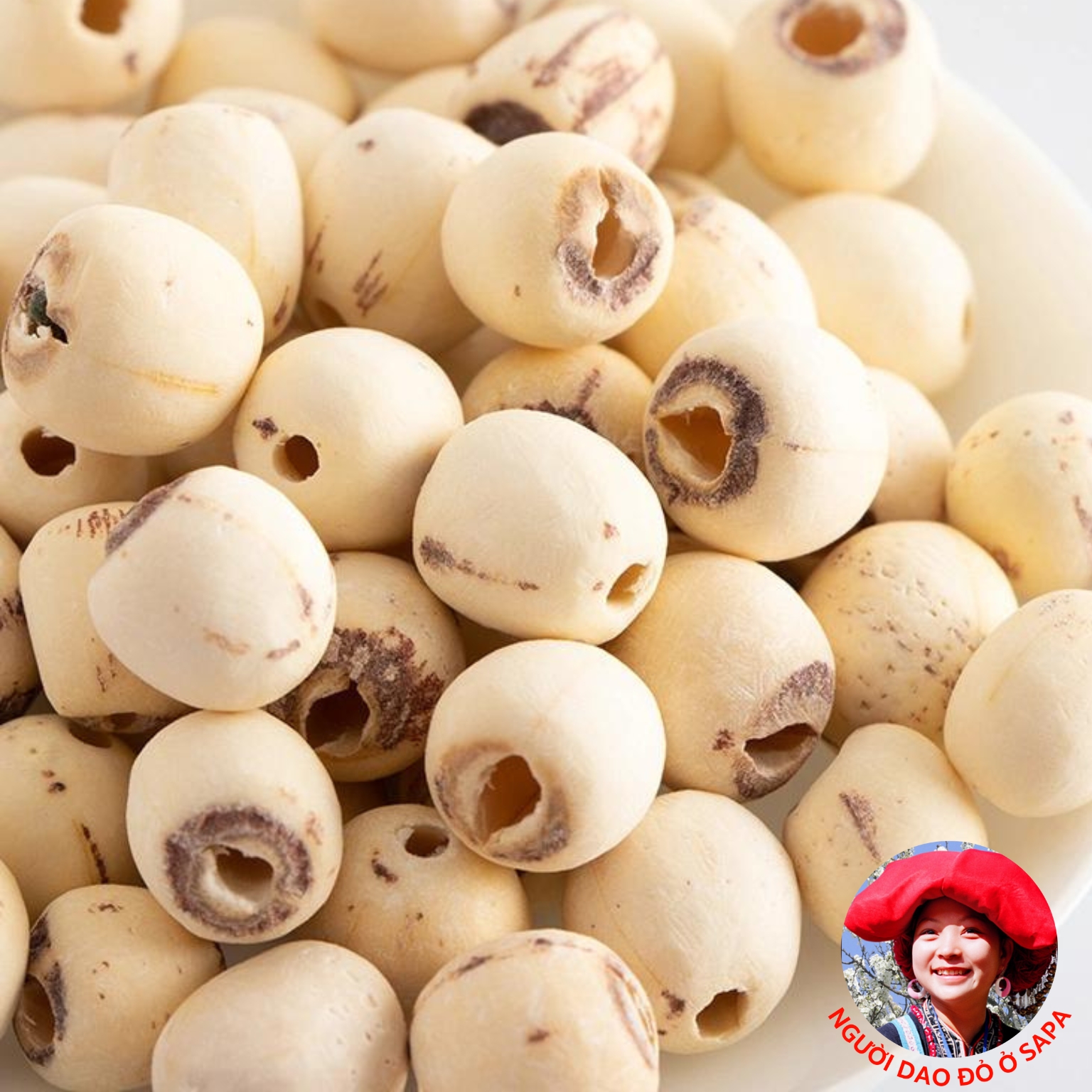 Hạt sen khô hữu cơ Huế loại 1 ngon thơm bở, trà hạt sen sấy khô giúp ngủ ngon dễ ngủ, nấu chè, nấu sữa, ăn dặm cho bé