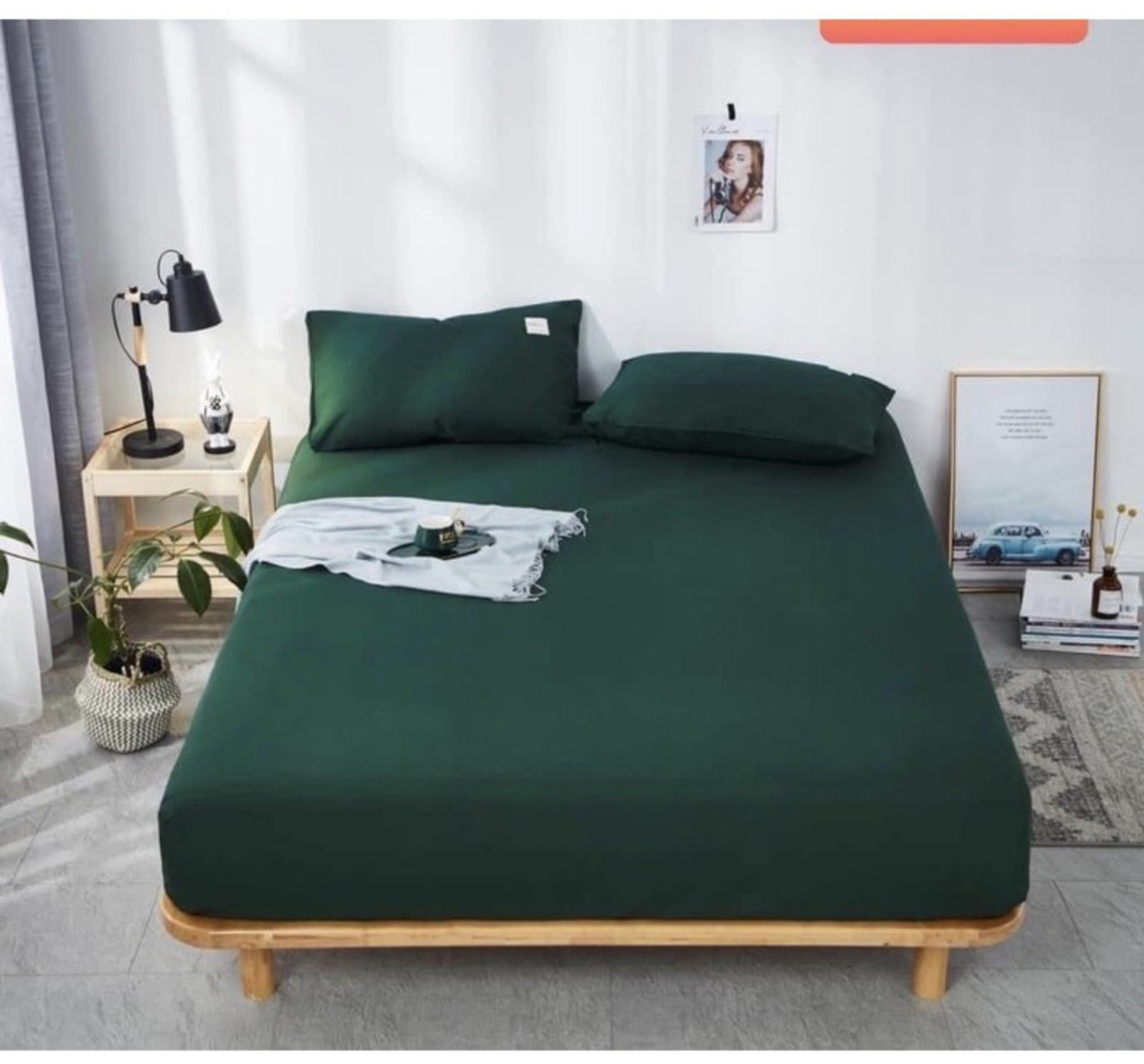 Vỏ gối nằm TiCi cao cấp, đủ kích thước