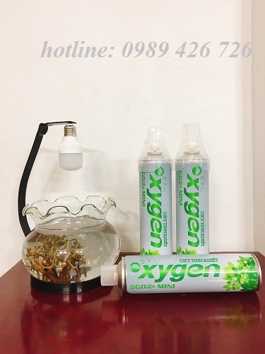 Bình Oxy mini cầm tay SG 02