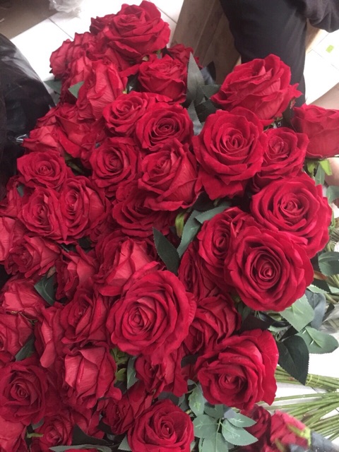 Cành hoa hồng nhung 1 bông cao cấp (50cm)