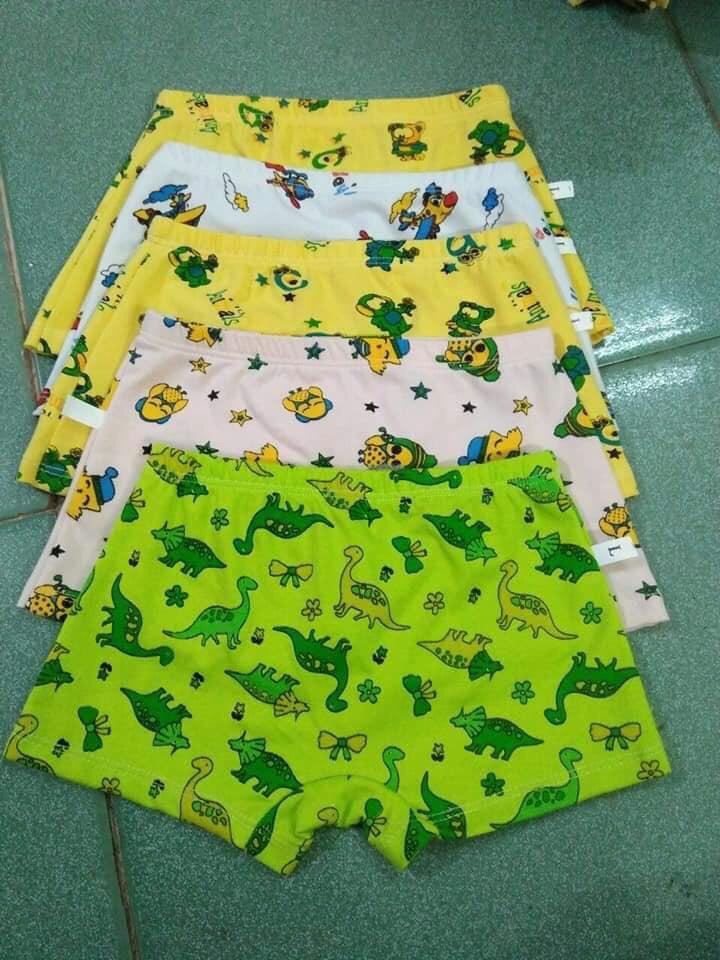 [HCM]Combo 5 quần lót bé trai size 6 từ 20-23kg