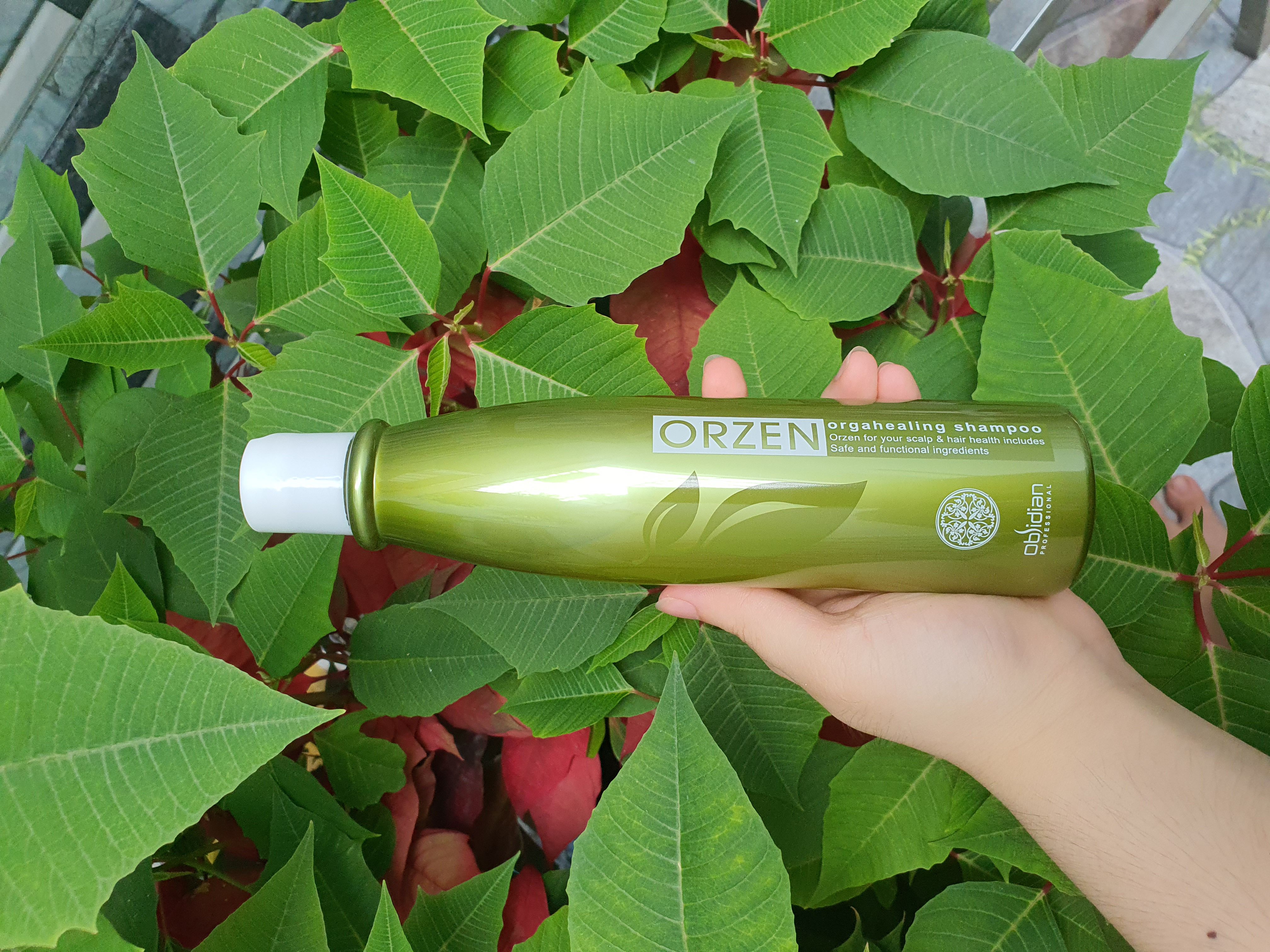 Dầu gội chống rụng mọc tóc Orzen Obsidian 320ml (KOREA)