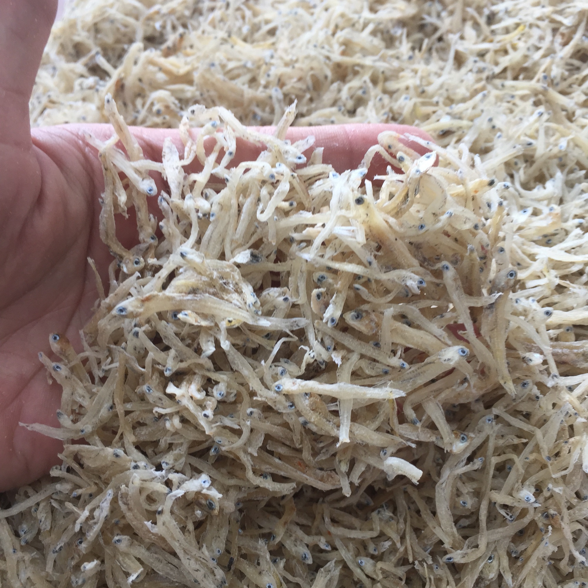 Cá cơm sữa (Phú Quốc)500g