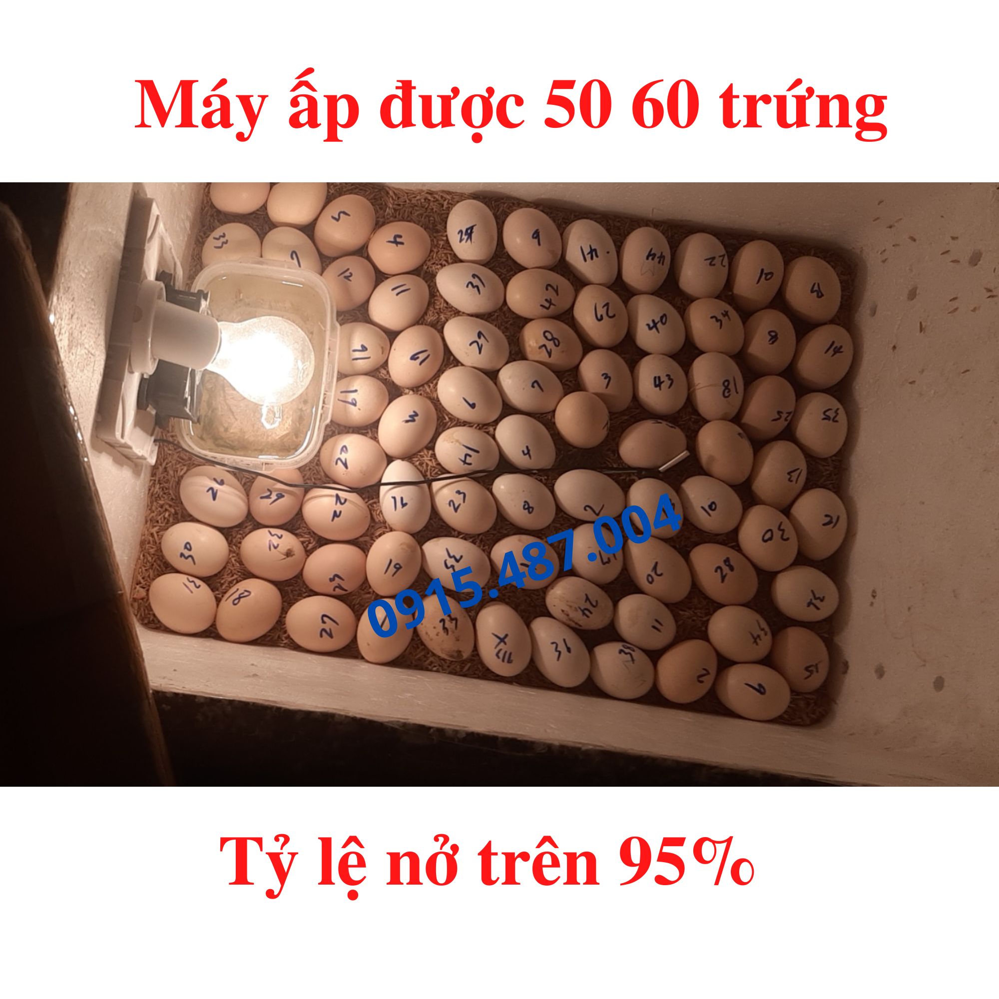 [Free Ship] Máy ấp trứng gà mini mới nhất 2023