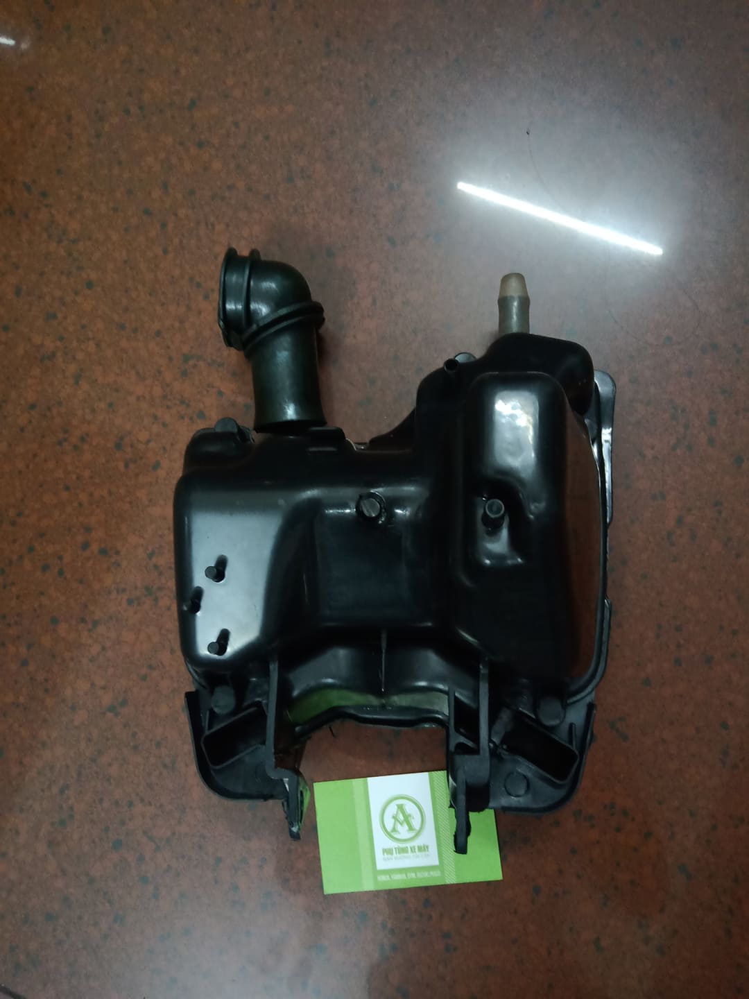 Bao tử RS Nhật