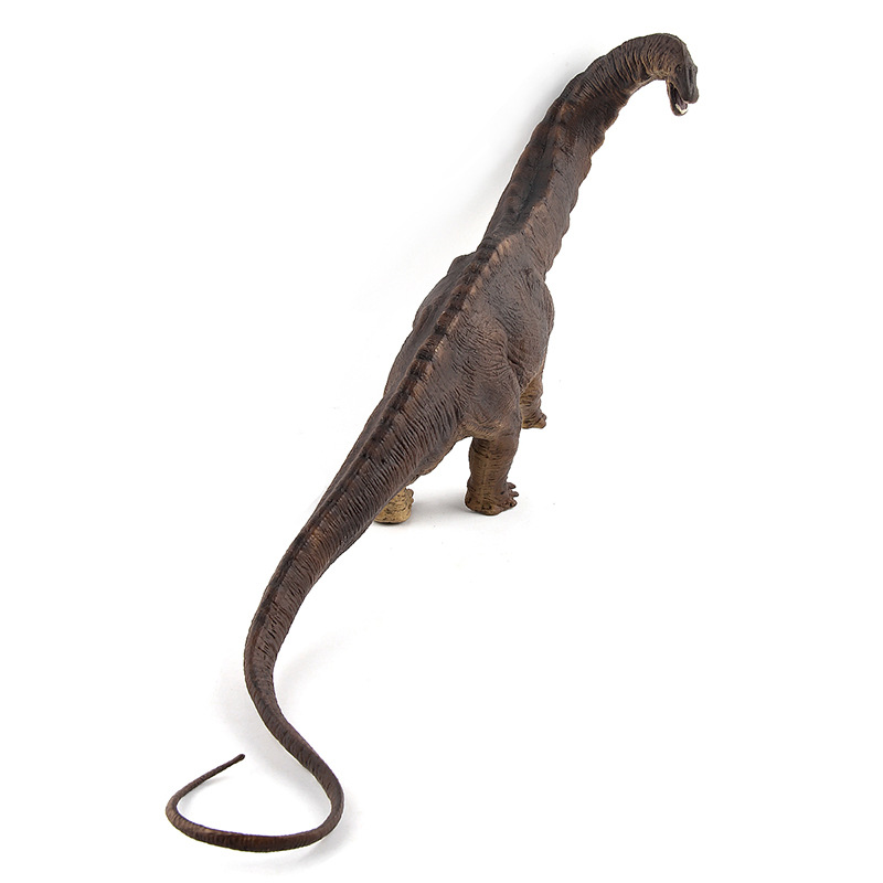1007 🦕Mô hình khủng long cổ dài Apatosaurus siêu đẹp 🦕