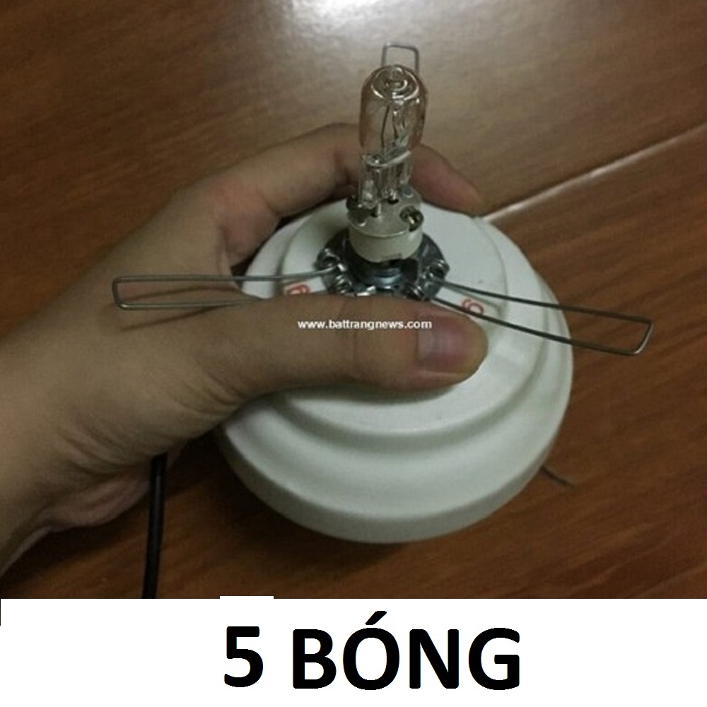 [COMBO] 5 Bóng Đèn Tinh Dầu Loại 1  2 Chân To 220v 35/50W dùng cho đèn xông tinh dầu Bát Tràng