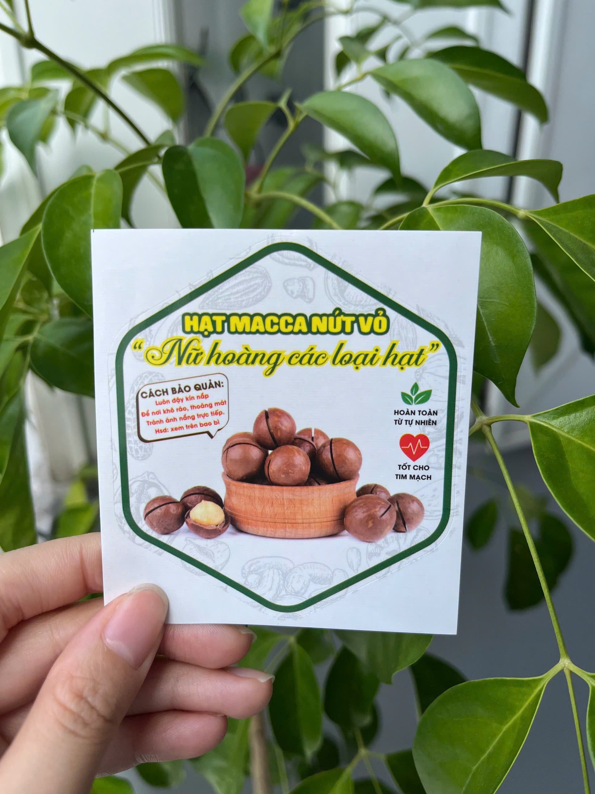 55 tem lục giác 7x8cm - Hạt Macca nứt vỏ