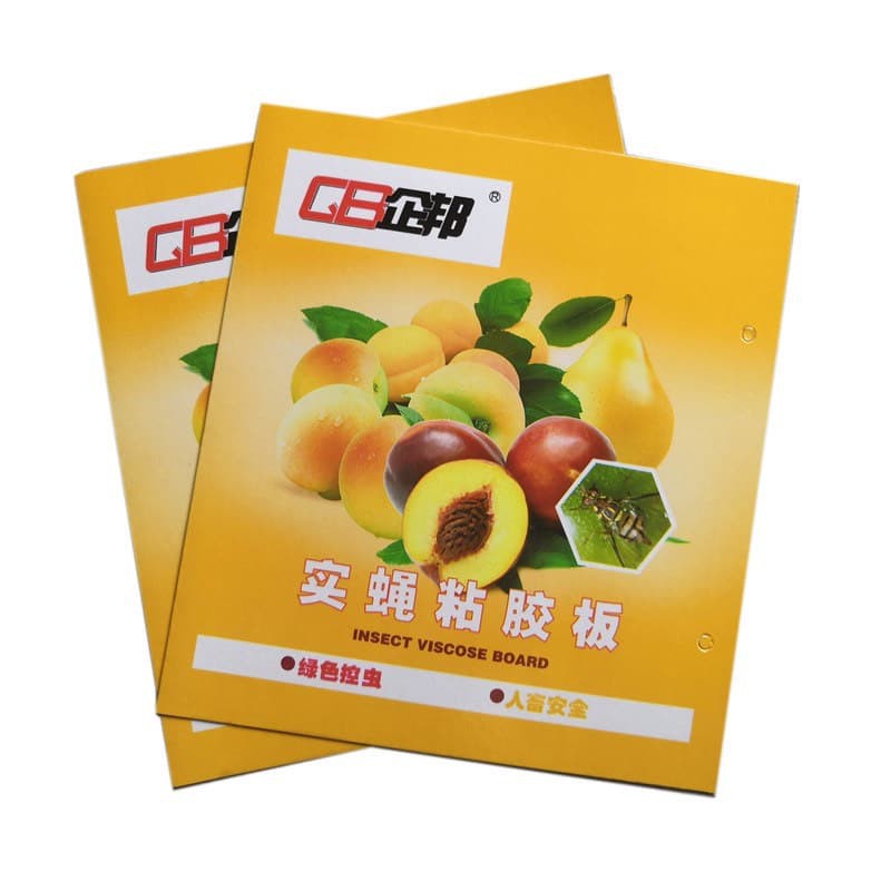 Hộp 10 miếng dính ruồi vàng cỡ lớn 40 x 20cm