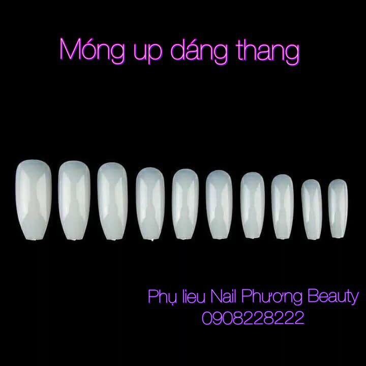 Móng up tay phôm thang
