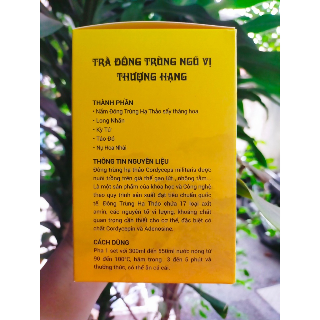 Trà đông trùng ngũ vị thượng hạng