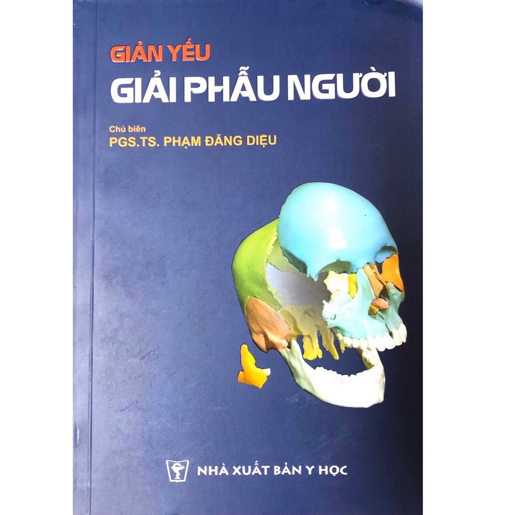 Giản yếu giải phẫu người