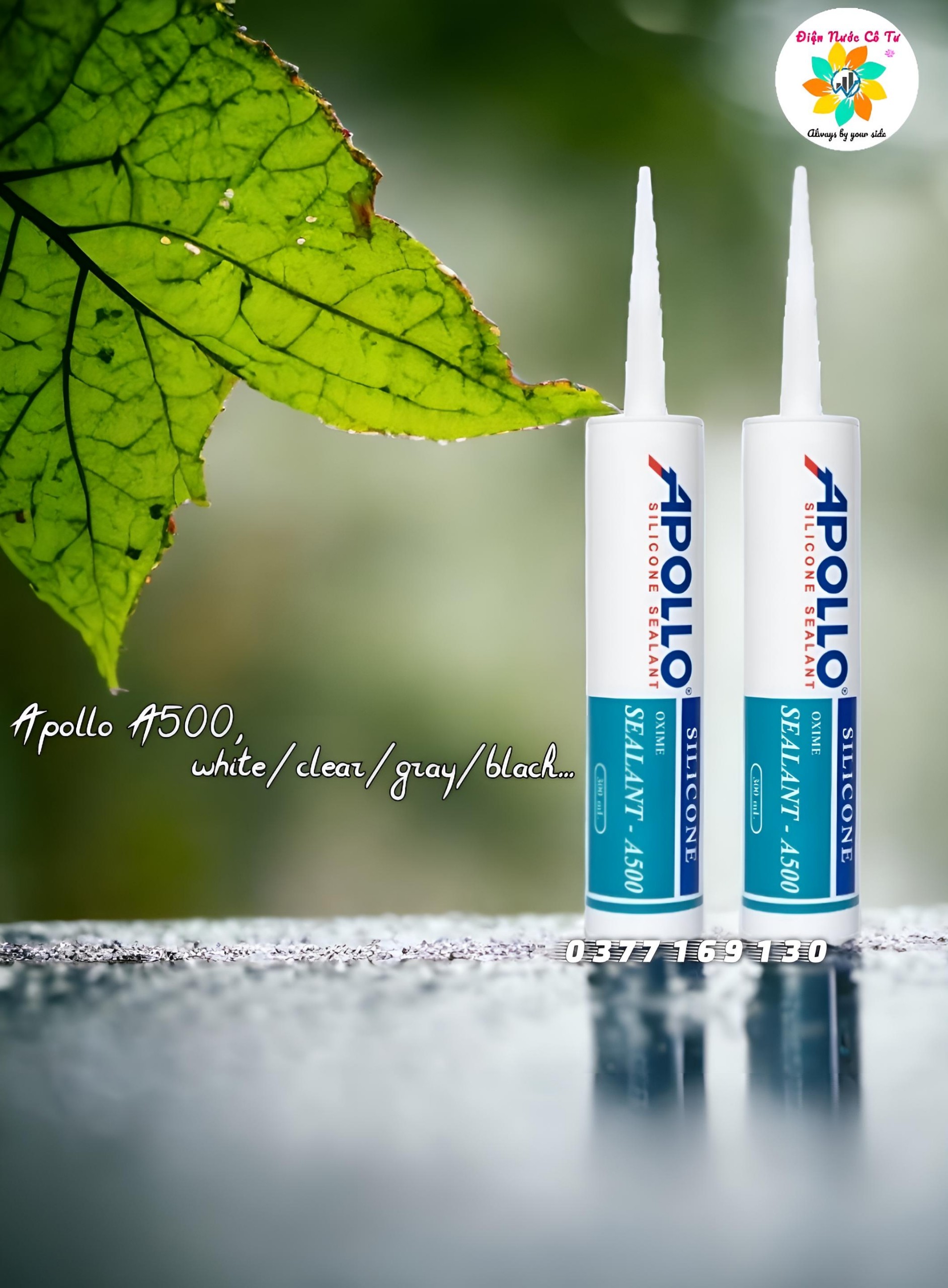 Keo Silicone Apollo A600 màu trắng sữa (white)
