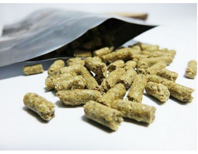 [HCM]Thức Ăn Chuyên Cho Tép Ong BEE GROWS (Gói 45gram)