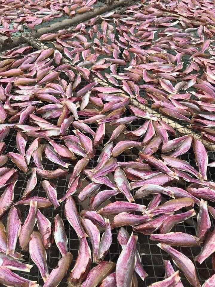 Cá phèn hồng phơi dẻo (500 gram)