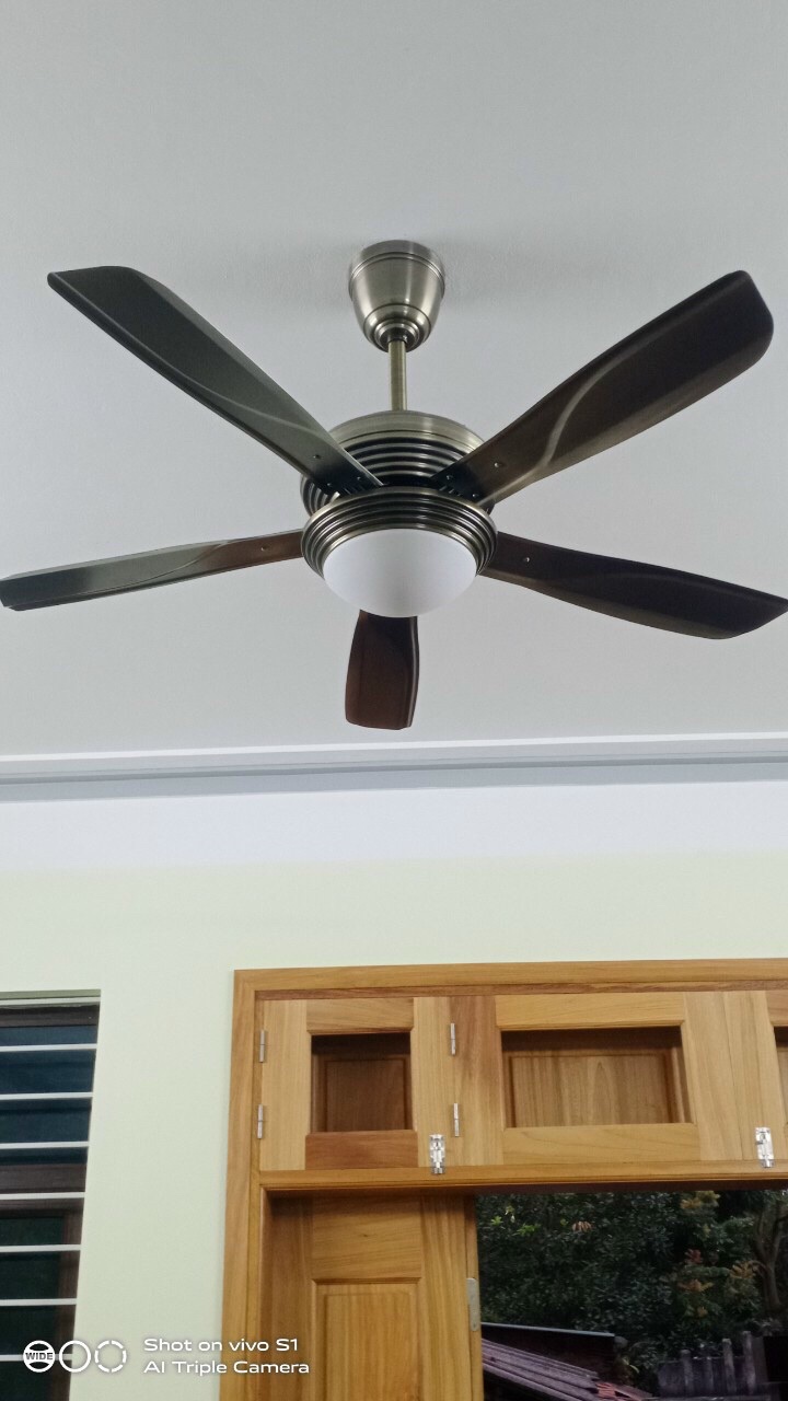 Quạt Trần Đèn Royal LG1801CS