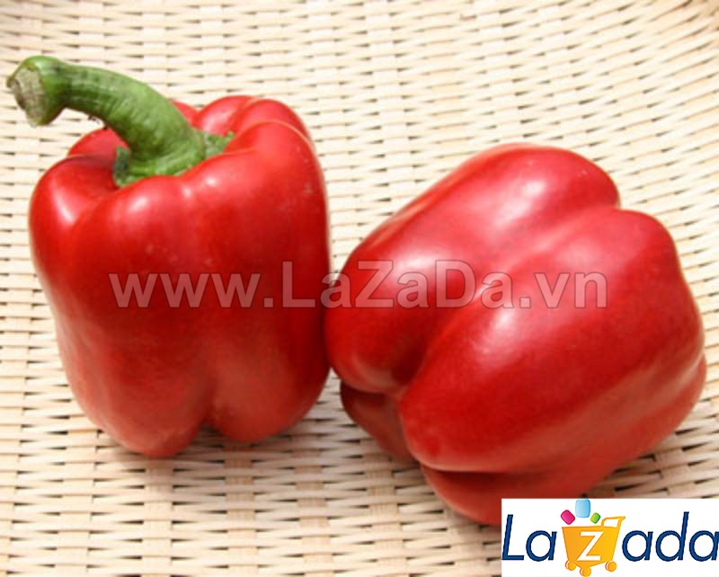 10h Hạt Giống Ớt Chuông Ngọt F1 Đỏ 180Gram TG58 (A2.104| C2*M231)