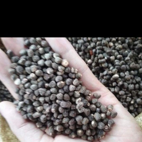 Hạt Chuối Rừng 1kg
