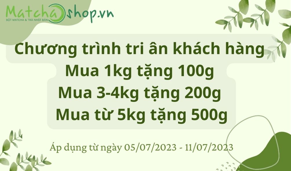 Bột Trà Xanh Matcha Kongocha Nhật Bản MATCHASHOP